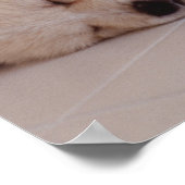 Puppy en konijn poster (Hoek)