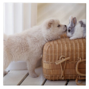 Puppy en konijn tegeltje