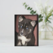 puppy_eye briefkaarten (Staand voorkant)