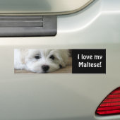 Puppy Eyes Bumpersticker (Op auto)