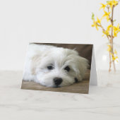 Puppy Eyes Kaart (Gele Bloem)