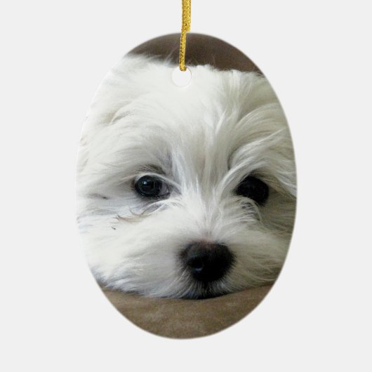 Puppy Eyes Keramisch Ornament (Voorkant)