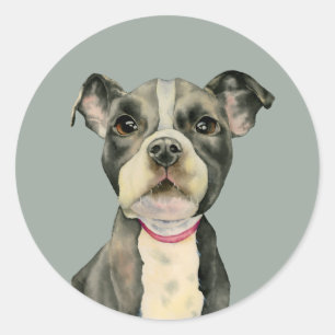 Puppy Eyes Kute Pit Bull Terrier Dog Ronde Sticker