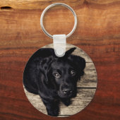 Puppy Eyes Sleutelhanger (Voorkant)