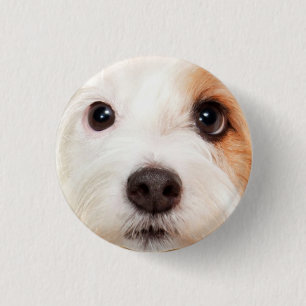 Puppy Face Ronde Button 3,2 Cm