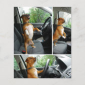 Puppy Flyer (Achterkant)