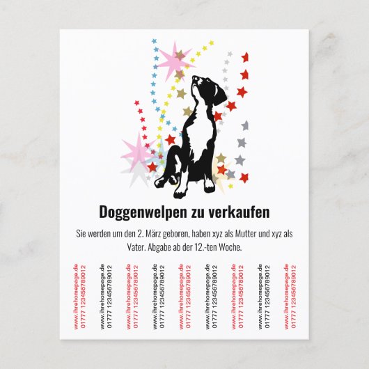 Puppy Flyer (Voorkant)