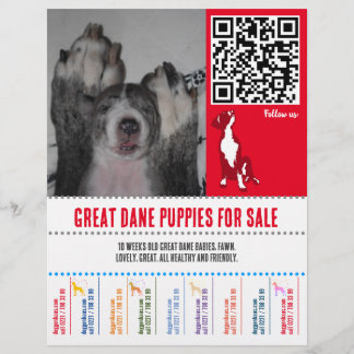 Puppy flyers Great Dane of honden