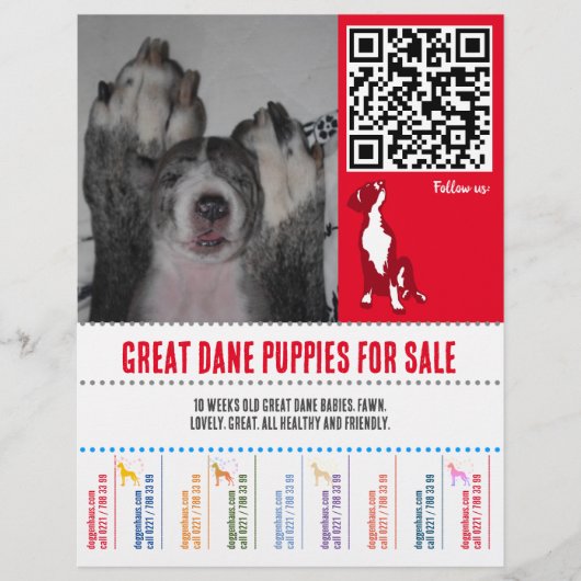 Puppy flyers Great Dane of honden (Voorkant)