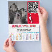puppy flyers Grote Deen of Honden (Hand)