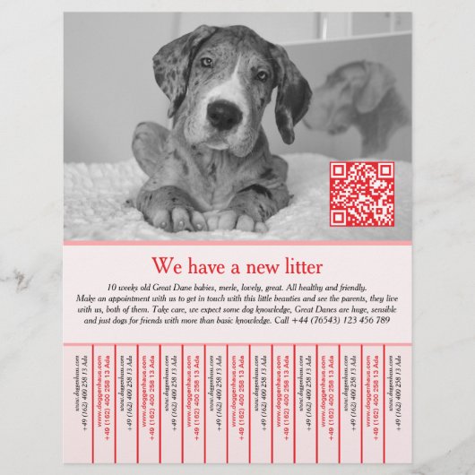Puppy Flyers Rood (Voorkant)