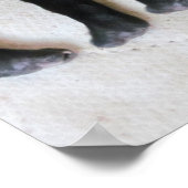 Puppy foot poster (Hoek)