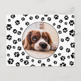 Puppy foto Pawprints Briefkaart