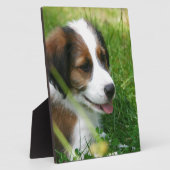 Puppy Fotoplaat (Zijkant)