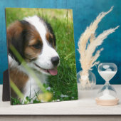 Puppy Fotoplaat (Zijkant)