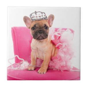 Puppy french bulldog disguised tegeltje