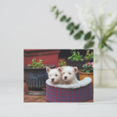 Puppy Friends Briefkaart (Staand voorkant)