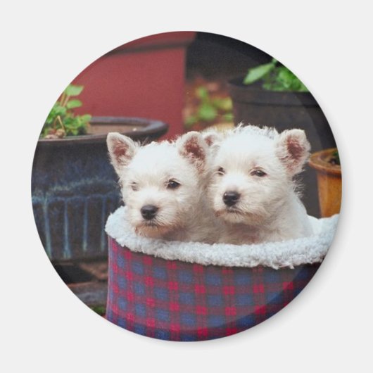 Puppy Friends Magneet (Voorkant)