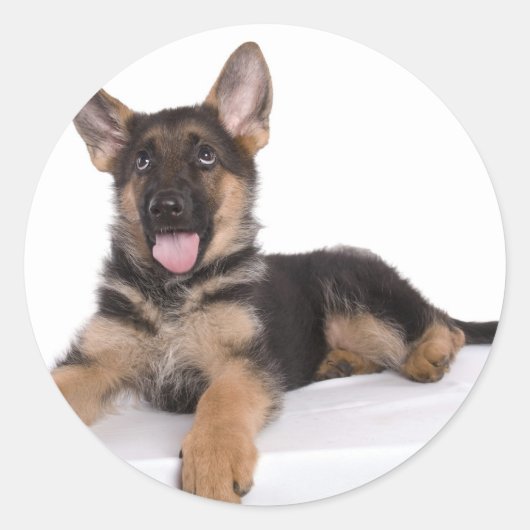 puppy German herder Ronde Sticker (Voorkant)