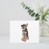 puppy German shepherd Briefkaart (Staand voorkant)