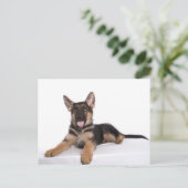 puppy German shepherd Briefkaart (Staand voorkant)