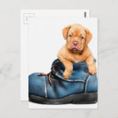 Puppy Gifts Briefkaart (Voorkant / Achterkant)