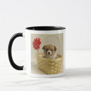 Puppy in een mandje mok