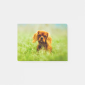 Puppy in veld post-it® notes (Voorkant)