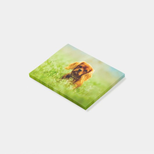 Puppy in veld post-it® notes (Schuin)