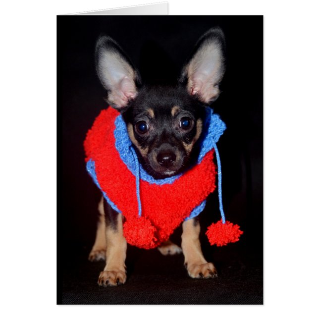 Puppy in wastafel (Voorkant)