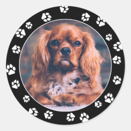 Puppy Instagram Foto White Paw Printers Stickers