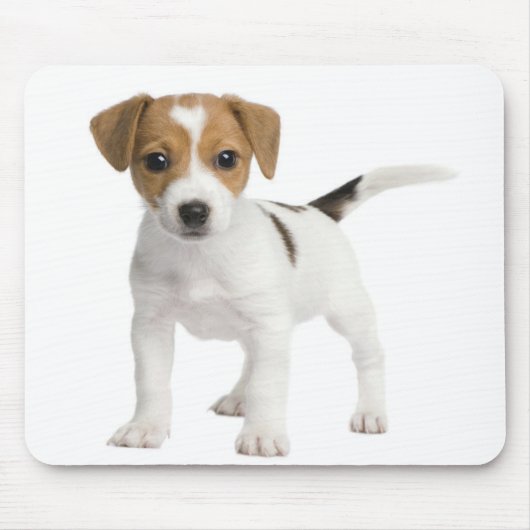 Puppy Jack russell Muismat (Voorkant)