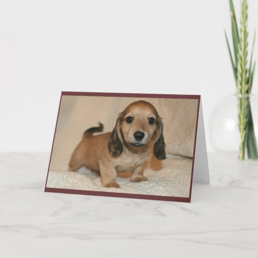 Puppy Kaart (Voorkant)