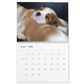 Puppy-kalender Kalender (Mar 2026)