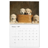 Puppy-kalender Kalender (Feb 2027)