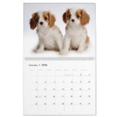 Puppy-kalender Kalender (Jan 2026)