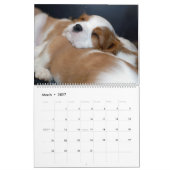 Puppy-kalender Kalender (Mar 2027)