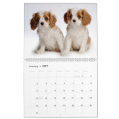 Puppy-kalender Kalender (Jan 2027)