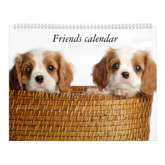 Puppy-kalender Kalender (Hoes)