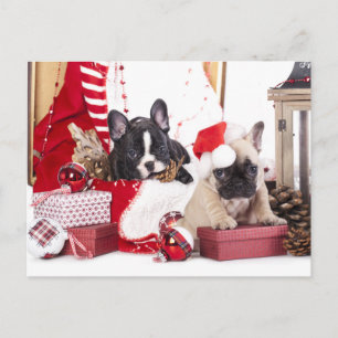 Puppy Kerstmis Franse Bulldog Feestdagenkaart