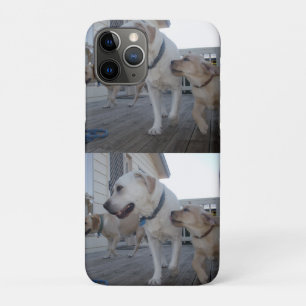 Puppy Kusjes: Crème Kleur Labrador Familie Liefde, iPhone 11 Pro Hoesje