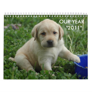 puppy-lab-HD-wallpaper, ONZE JAAR "2011" Kalender