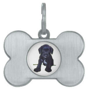 Puppy Label Huisdieren Naamplaatje