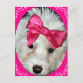 Puppy Love_ Briefkaart (Voorkant)