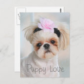 Puppy Love Briefkaart (Voorkant / Achterkant)