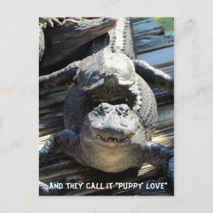 "Puppy Love" — Briefkaart van Gator/Alligator