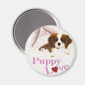 Puppy Love Cavalier King Charles Spaniel Magnet Magneet (Voorkant / Achterkant)