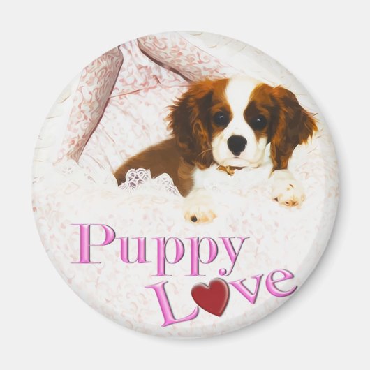 Puppy Love Cavalier King Charles Spaniel Magnet Magneet (Voorkant)