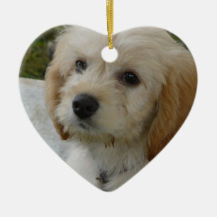 Puppy Love - Cute MaltiPoo Dog Foto Keramisch Ornament