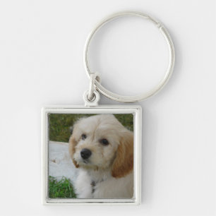 Puppy Love - Cute MaltiPoo Dog Foto Sleutelhanger